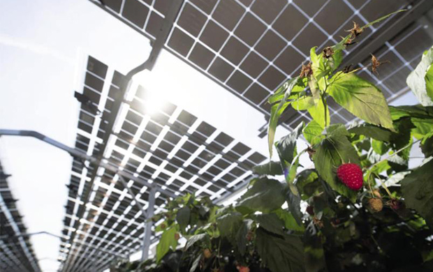 خطط لمشروع الطاقة الشمسية الكهروضوئية 112 ميجاوات في الصين